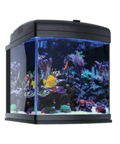 Alternative view of JBJ Aquarium 28 Gallon All Inclusive