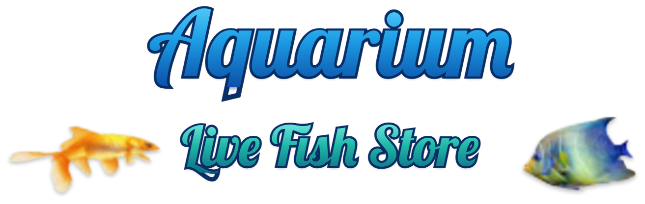 Aquarium Live Fish Store
